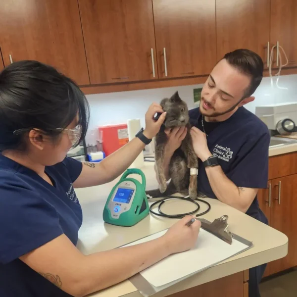 20250418_144643-1-scaled