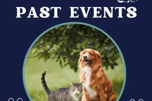 Read more about the article Past Events