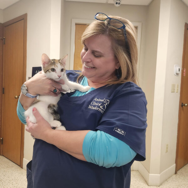 1d3c462f-bd4f-4173-9a10-c06d6b8fc460